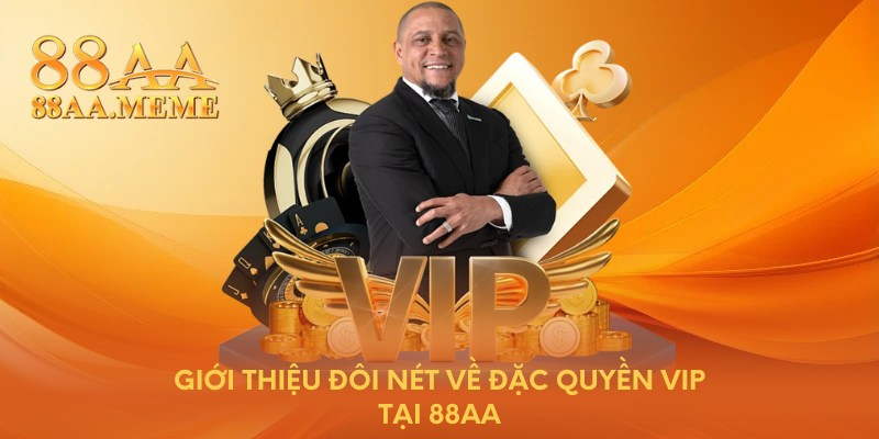Giới thiệu đôi nét về đặc quyền VIP tại 88AA